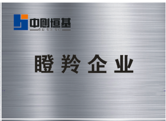 瞪羚企业